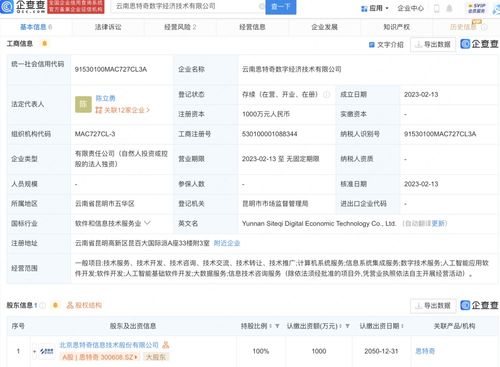 基礎軟件服務 數(shù)字化轉型的堅實基石